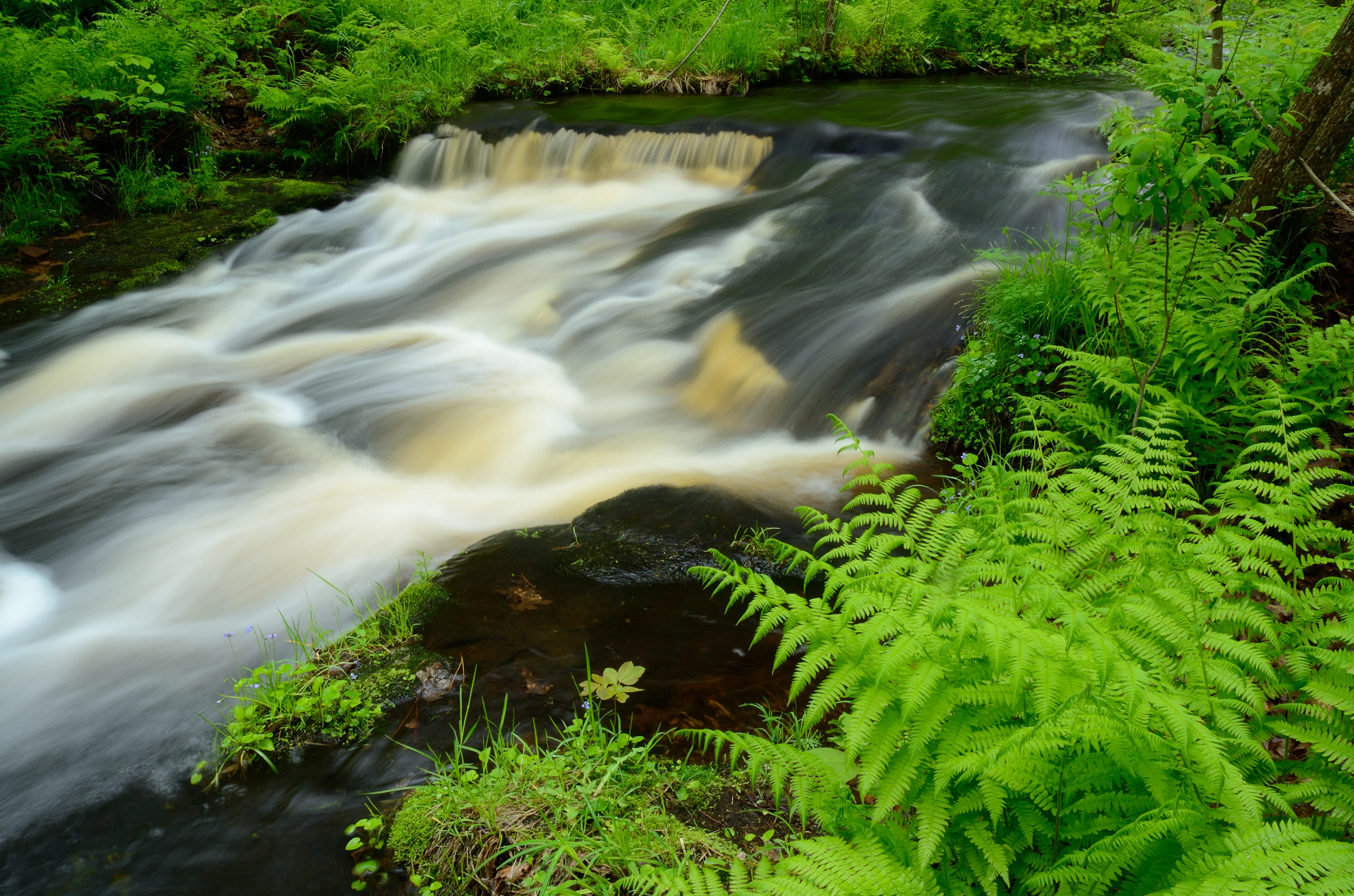 Wolf Creek Falls