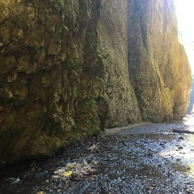 Hiking The Oneonta Gorge