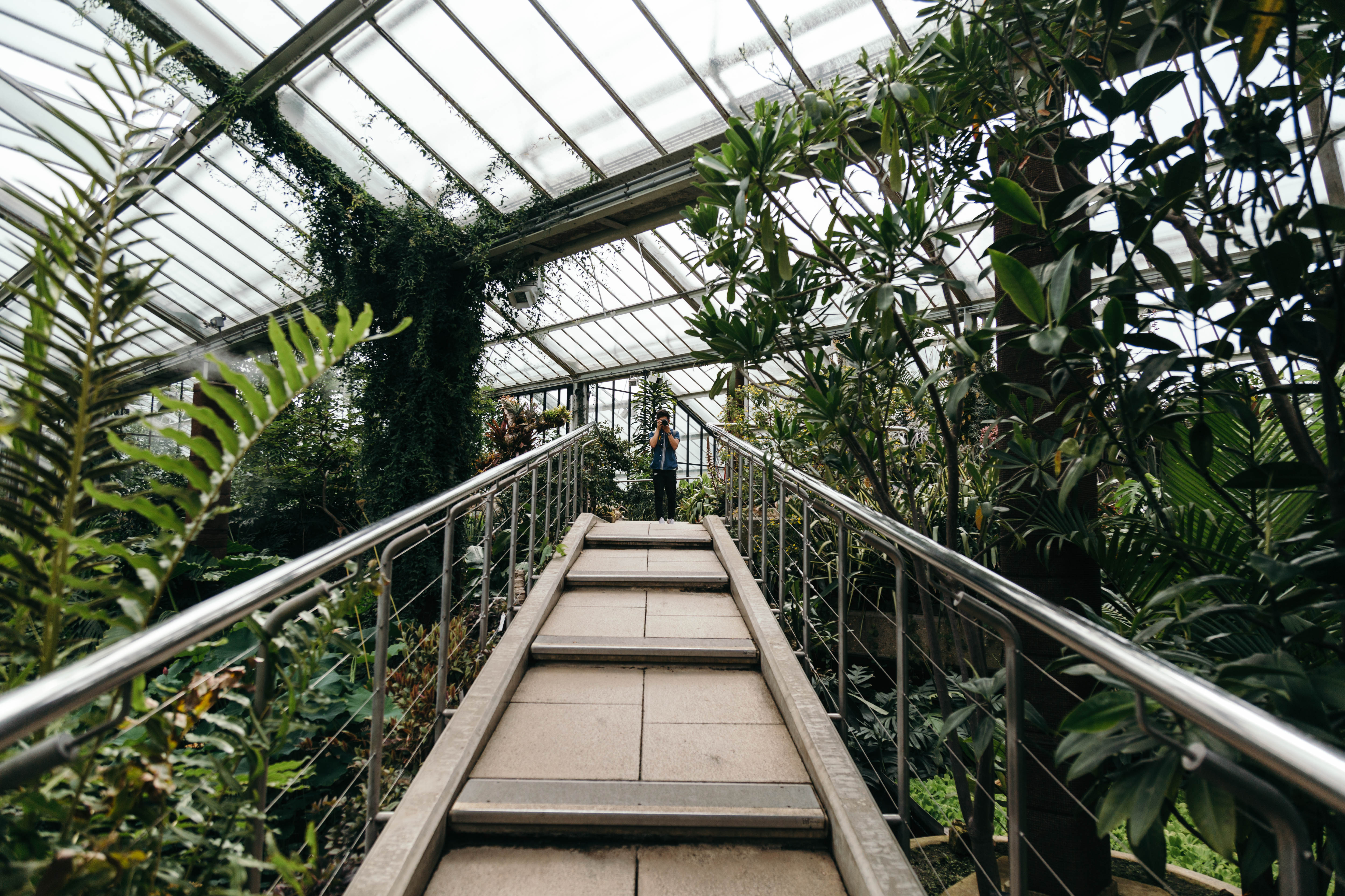 Explore the Royal Botanic Gardens