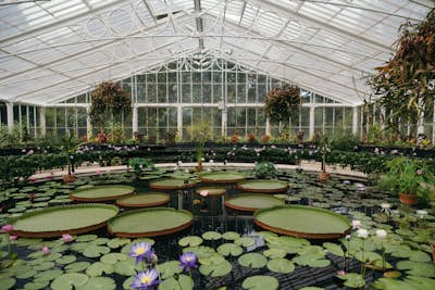 Explore the Royal Botanic Gardens