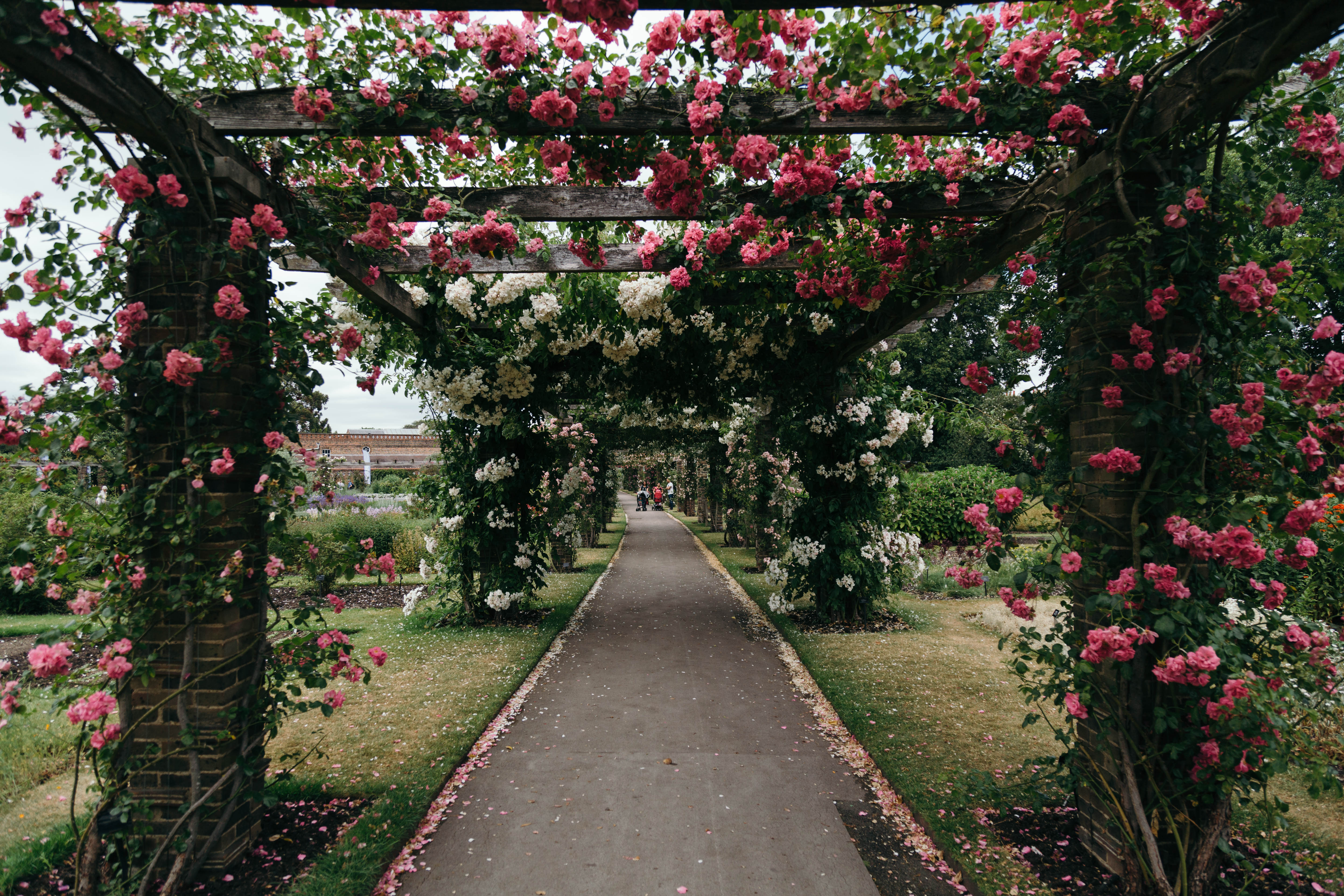 Explore the Royal Botanic Gardens