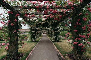 Explore the Royal Botanic Gardens