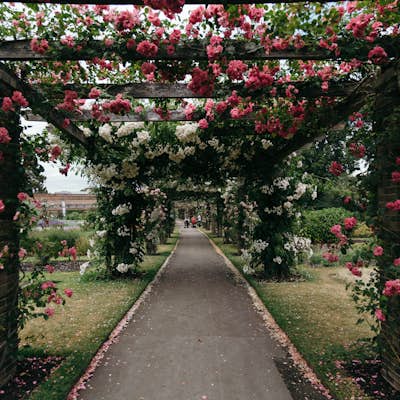 Explore the Royal Botanic Gardens