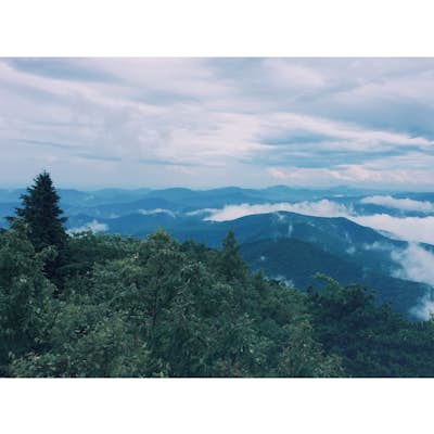 Hiking Greybeard Mountain