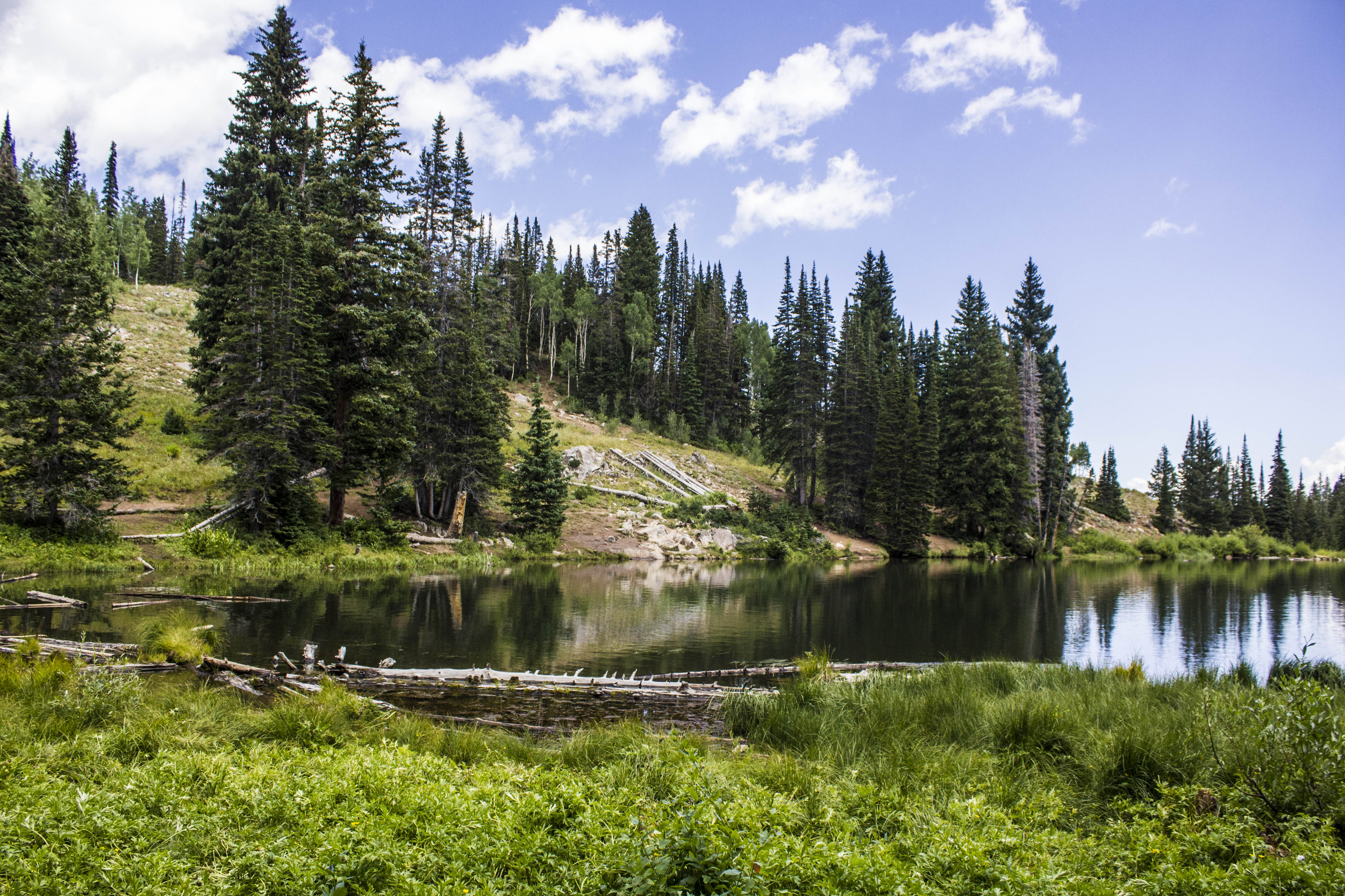 Hike to Bloods Lake, Utah 