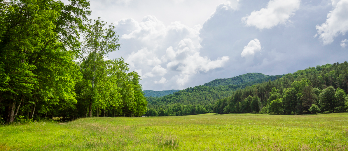 Explore Cataloochee Valley
