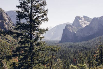 Exploring the Yosemite Valley in a Weekend