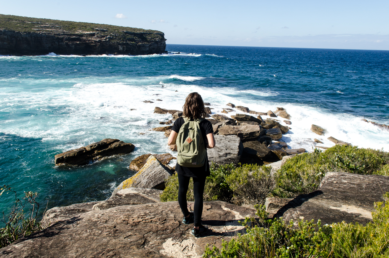 Explore Wattamolla Picnic Area 