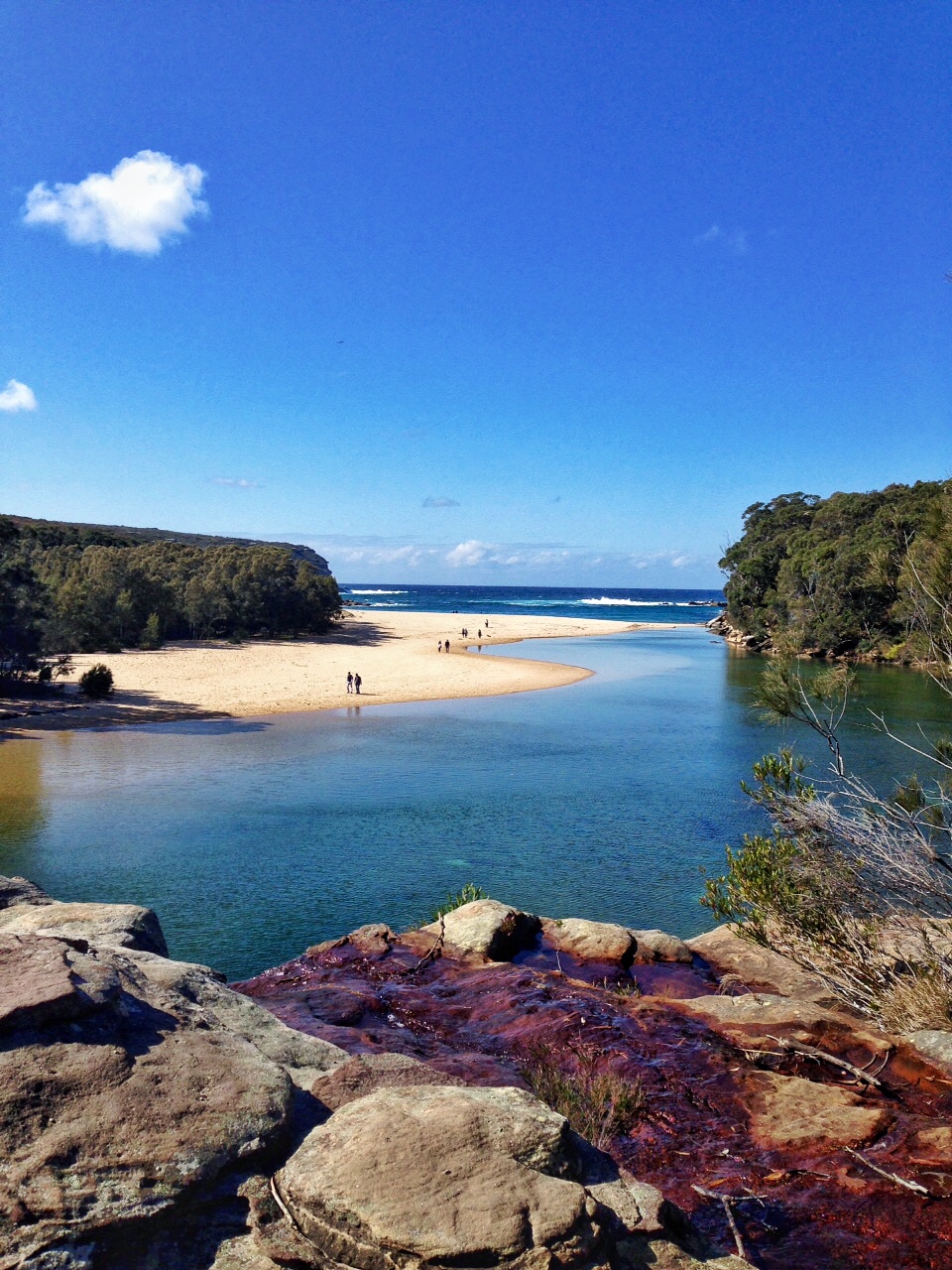 Explore Wattamolla Picnic Area 