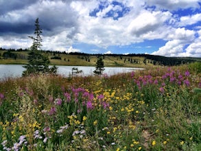 Camp at Dumont Lake, CO