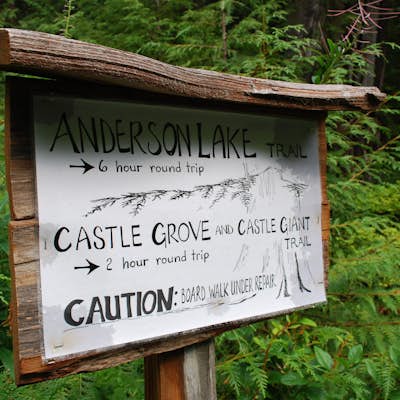 Hike Castle Grove of the Upper Walbran River Valley