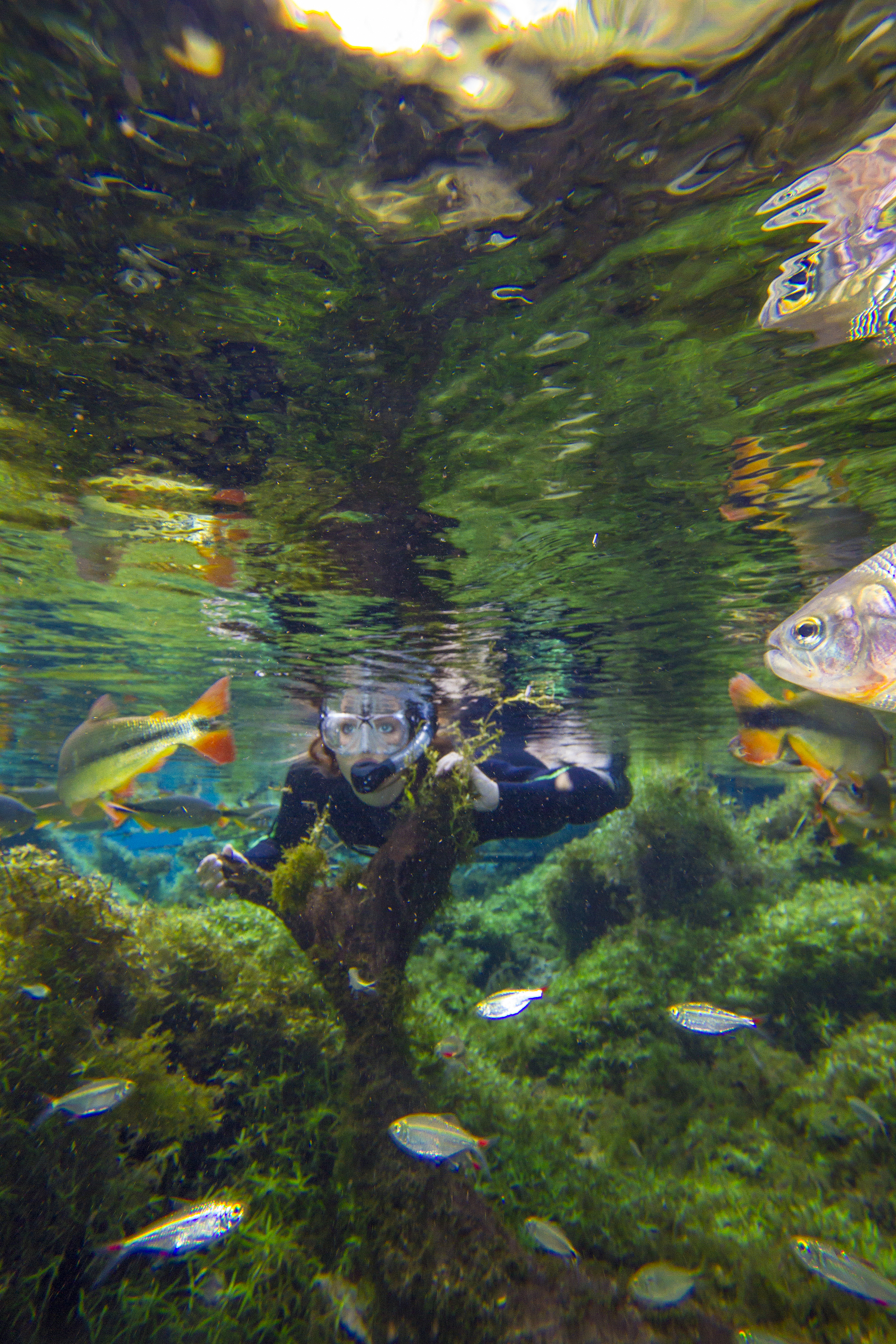 Explore Bonito in Brazil