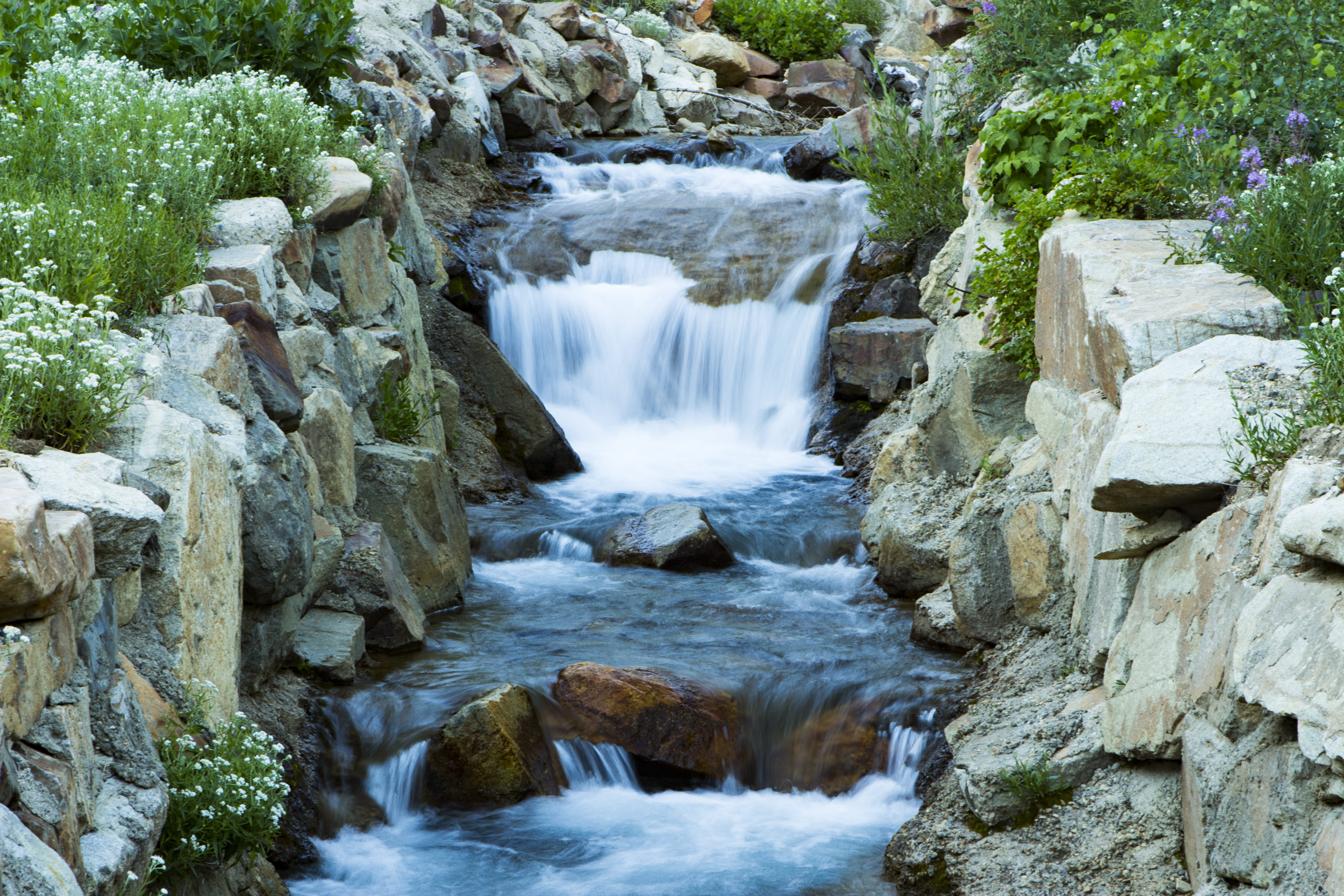 Photograph Little Cottonwood Creek at Snowbird