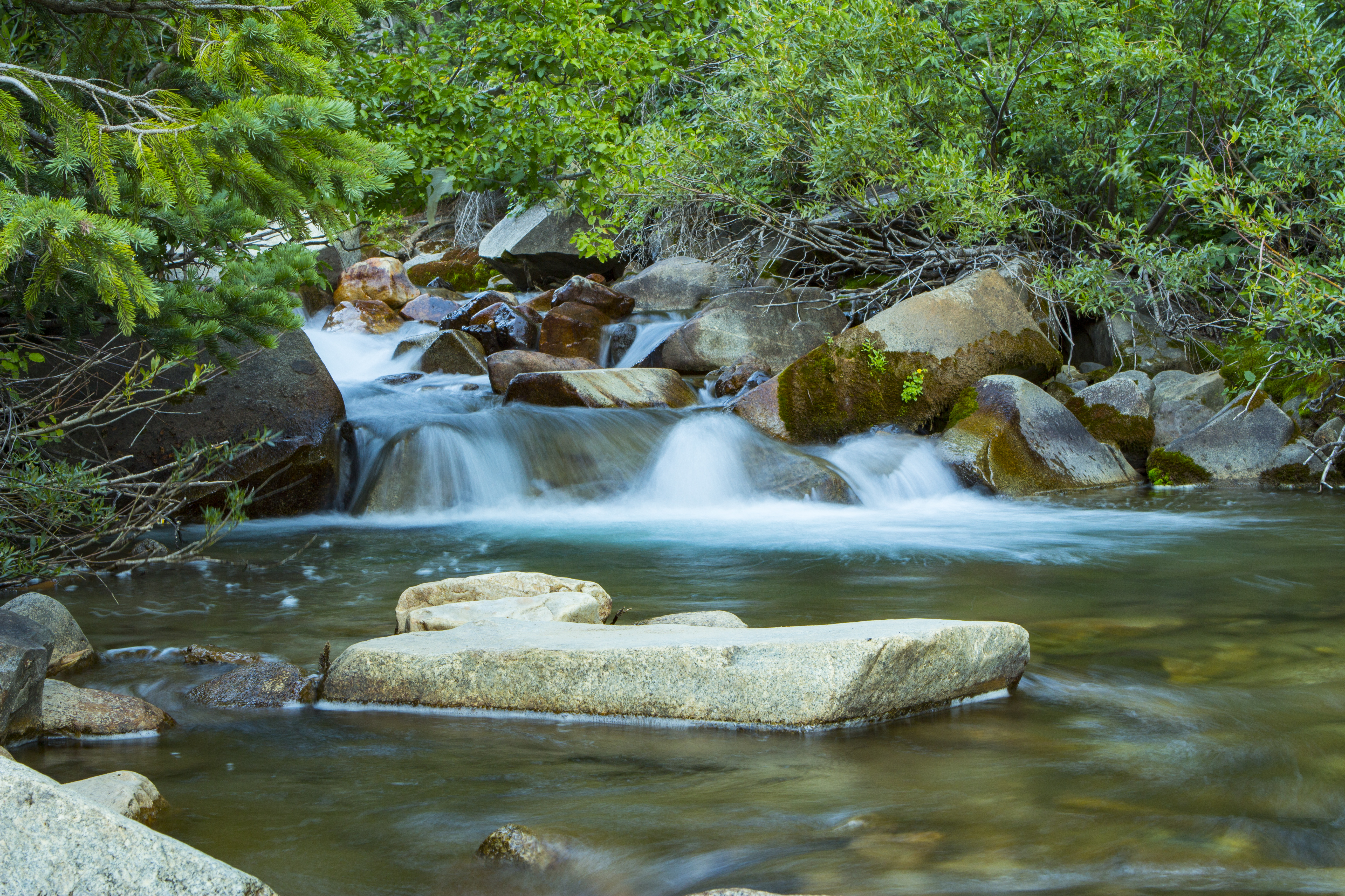 Photograph Little Cottonwood Creek at Snowbird