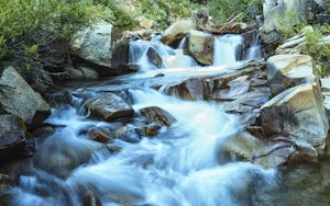 Photograph Little Cottonwood Creek at Snowbird