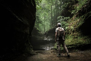 Hike the Canyons Loop of Turkey Run State Park