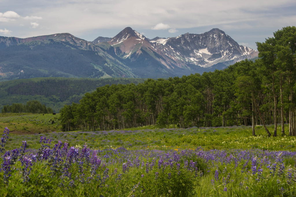 Hike Hay Park