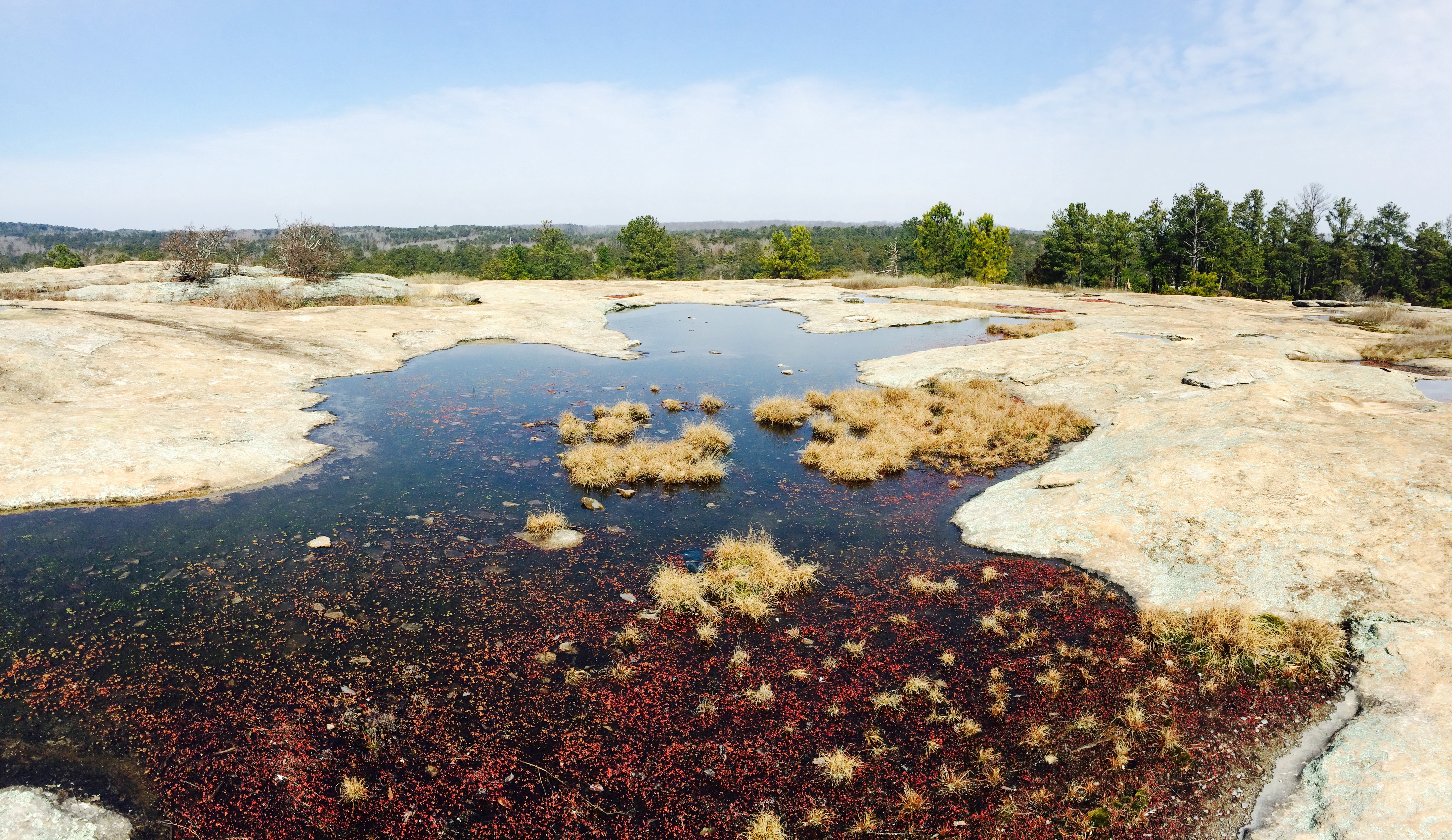 Arabia Mountain
