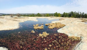 Hike Arabia Mountain, GA