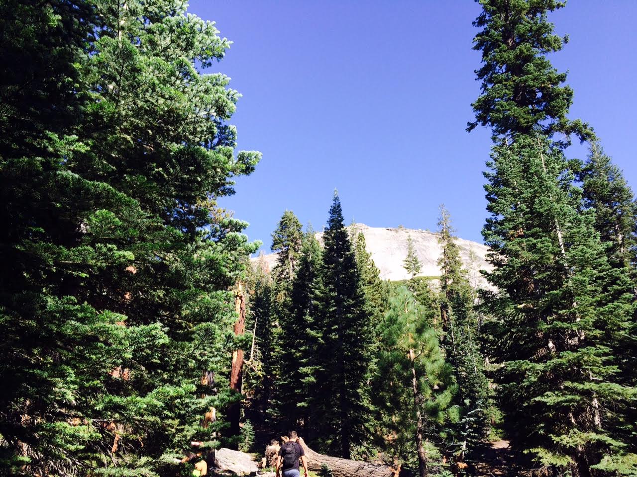 Sentinel Dome and Taft Point Loop