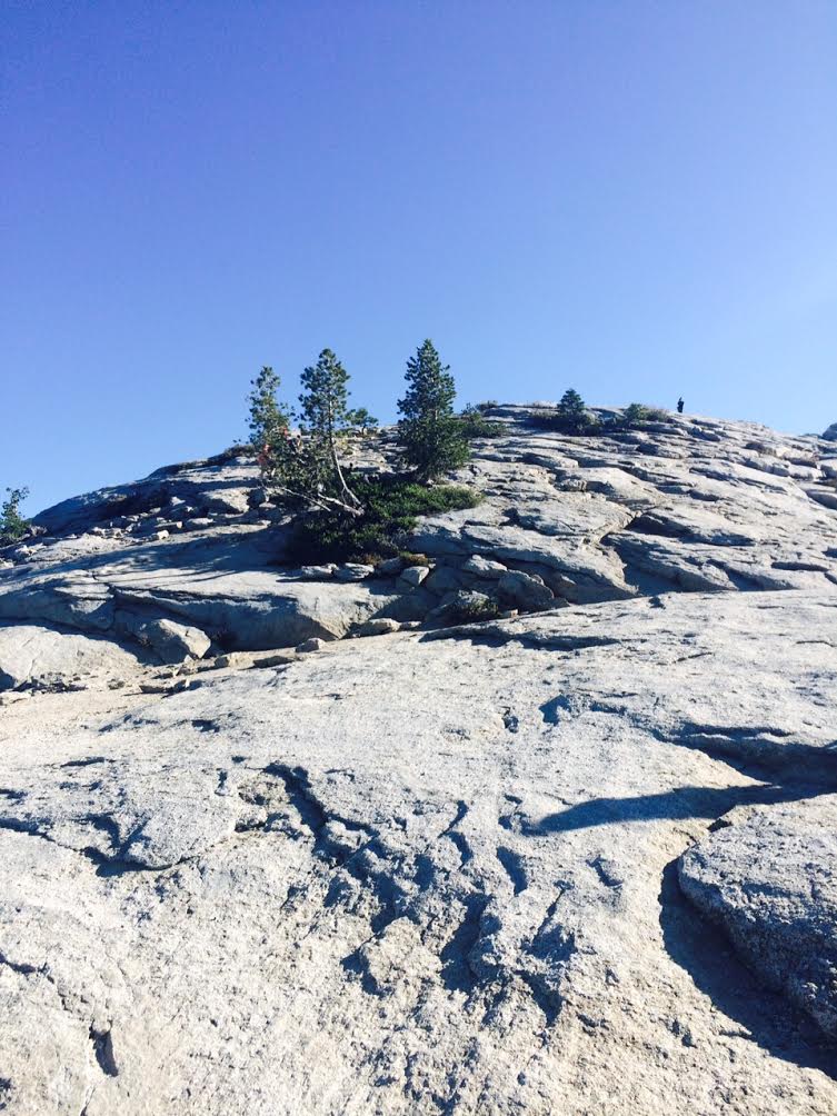 Sentinel Dome and Taft Point Loop