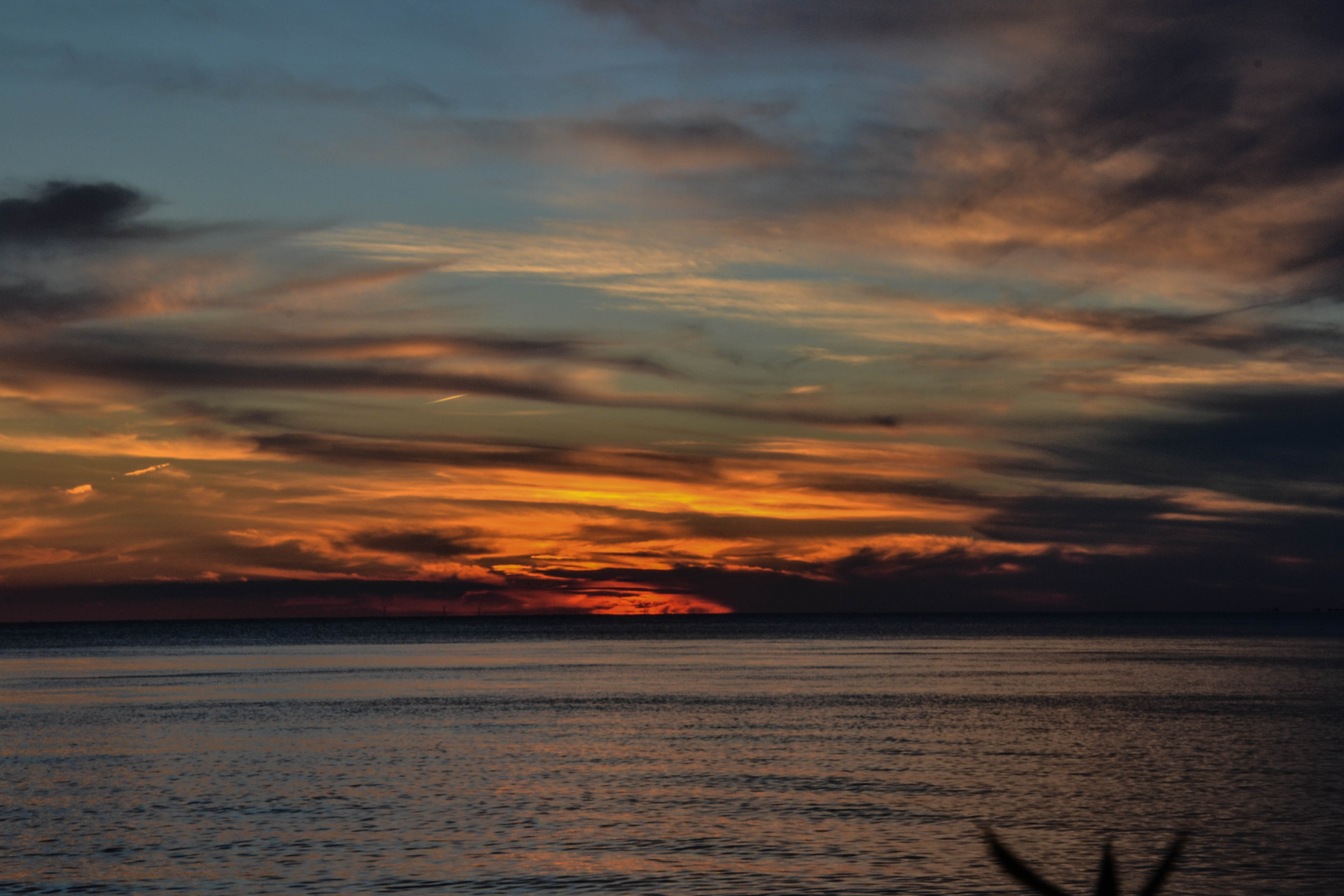 Explore Point Pelee