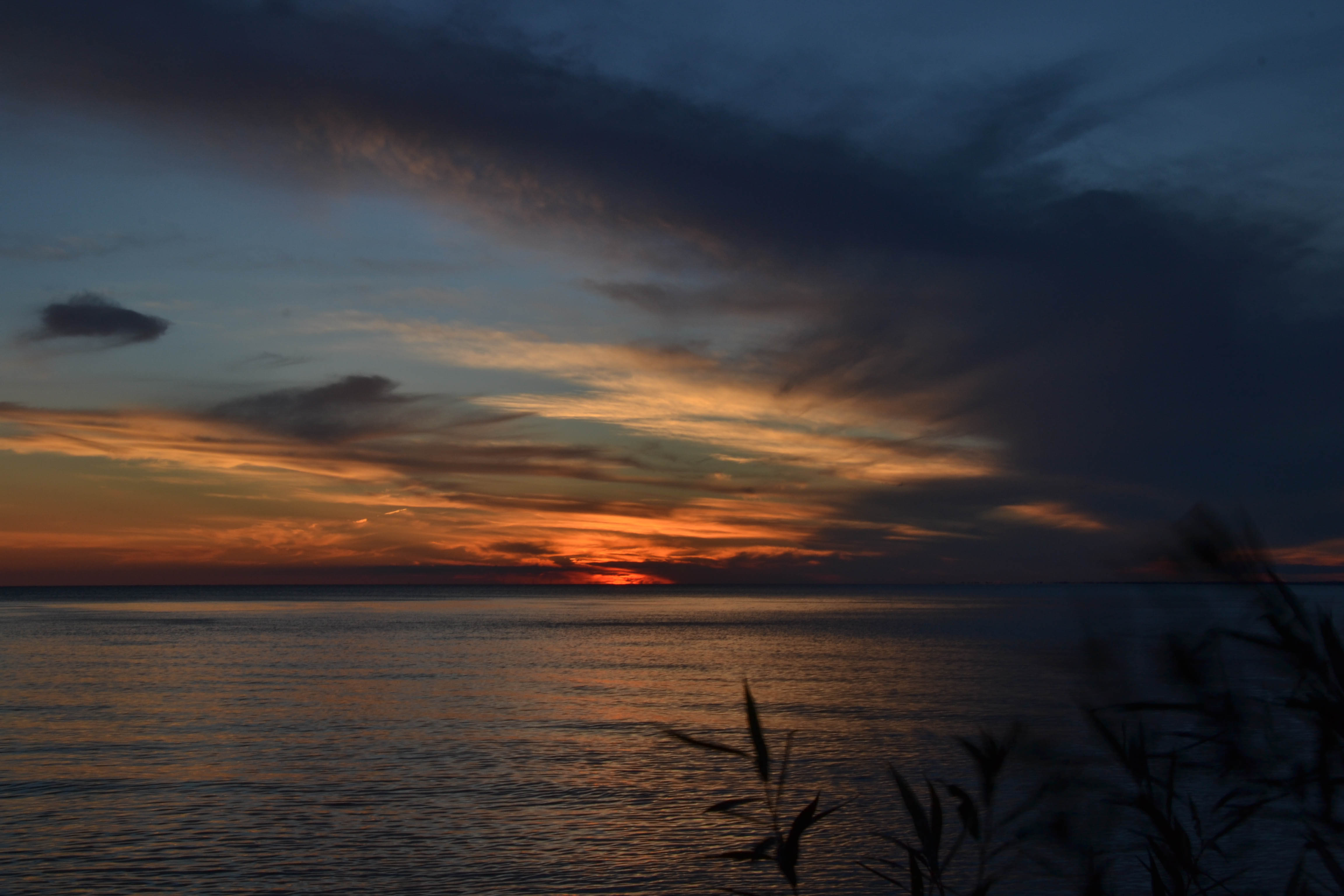 Explore Point Pelee