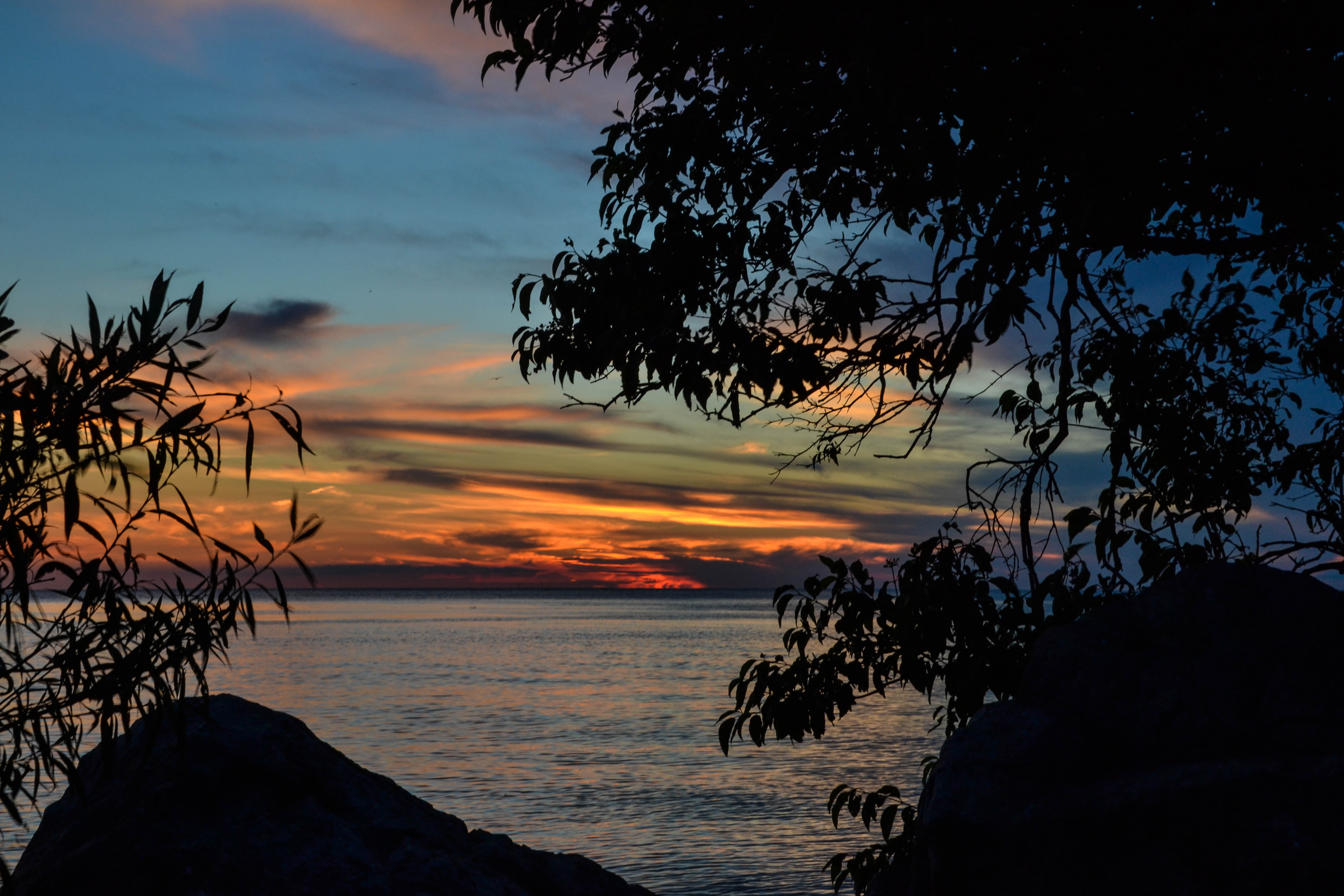 Explore Point Pelee