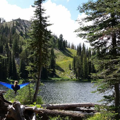 Jennie Lake Trail