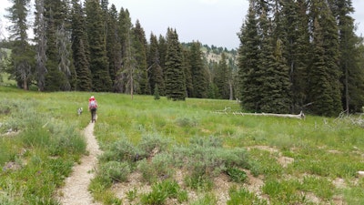 Hike to Jennie Lake, Jennie Lake Trail, Idaho