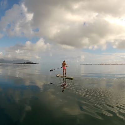 Stand Up Paddle in Kaneohe Bay