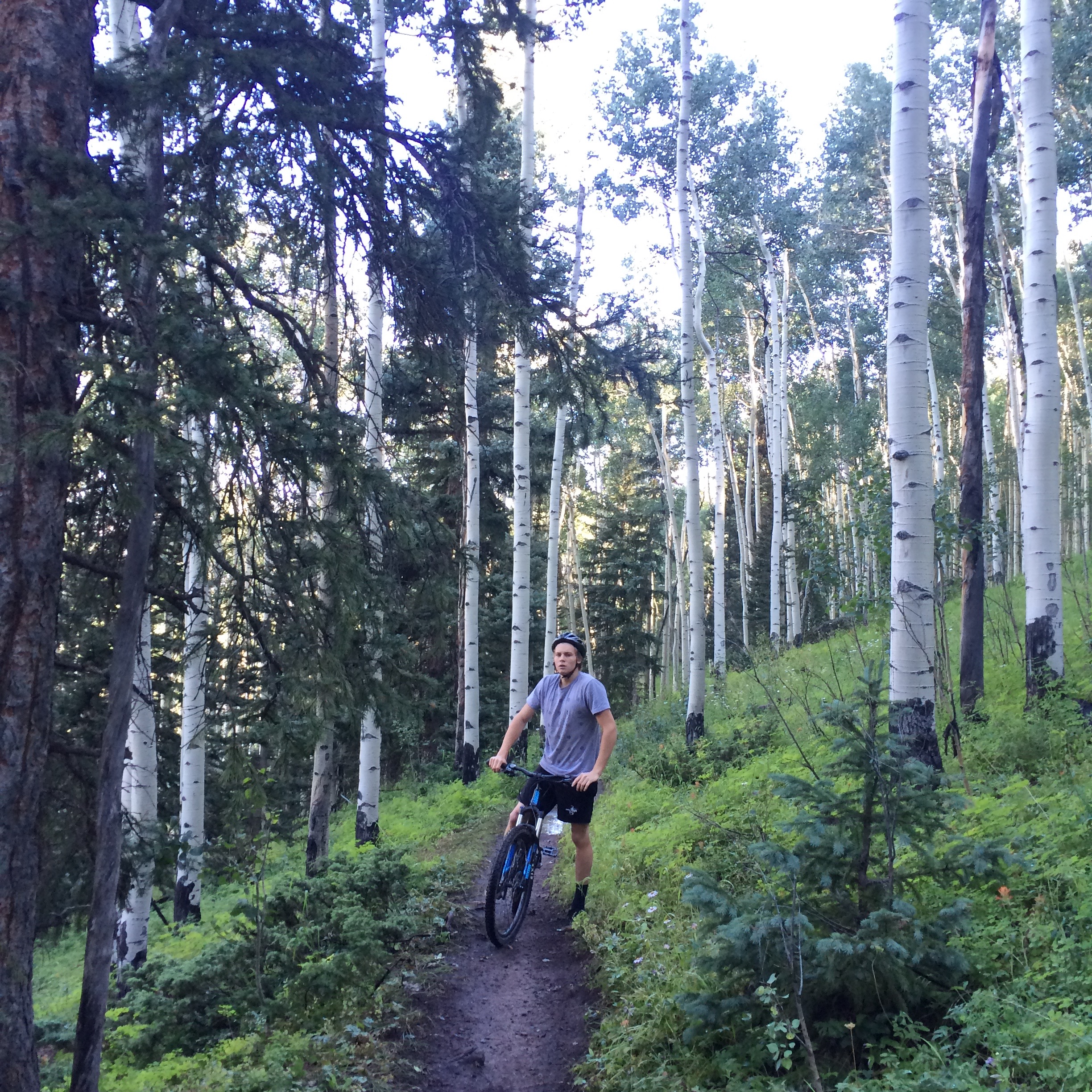Mountain Bike Village Trail 