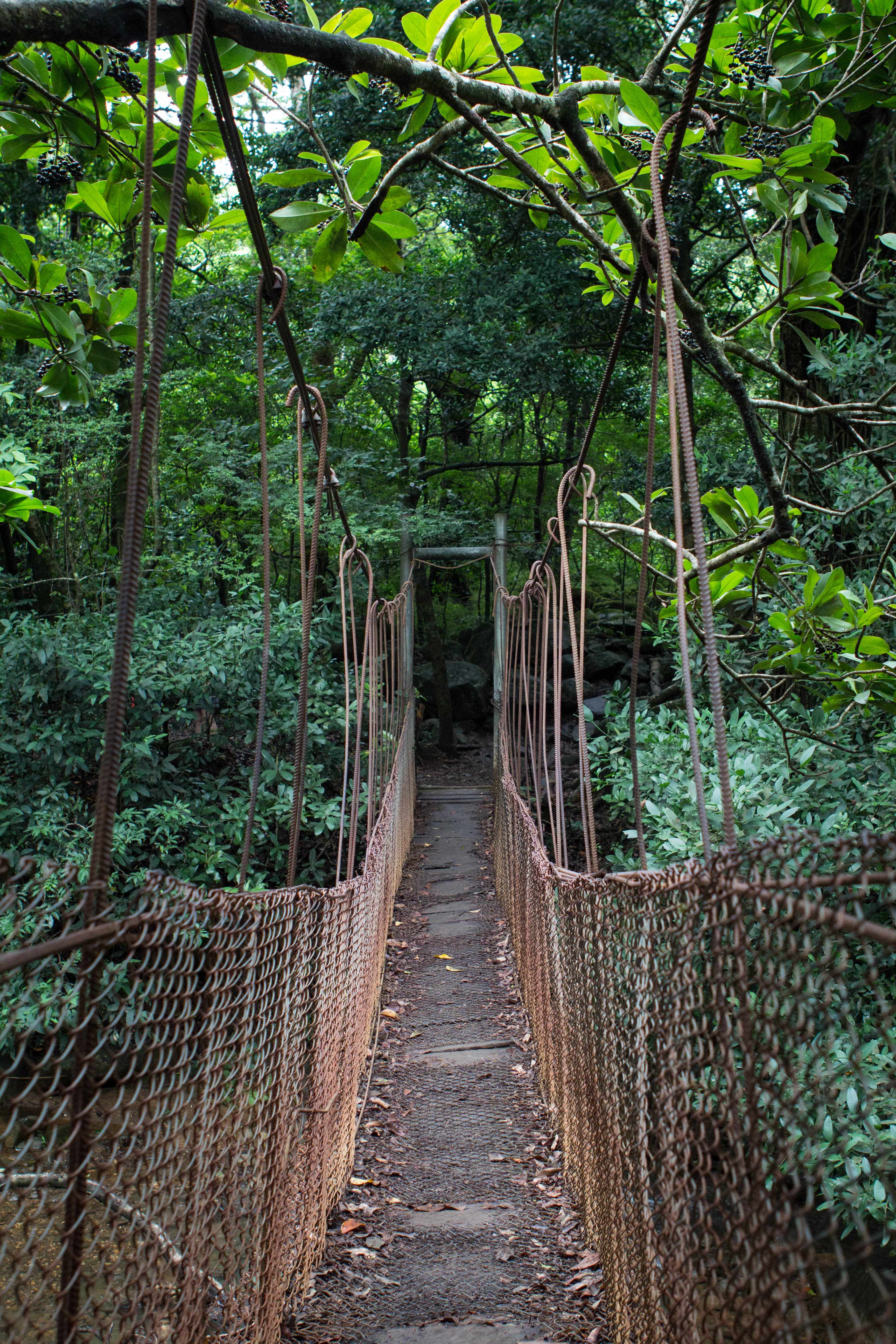 Las Pailas Trail Loop