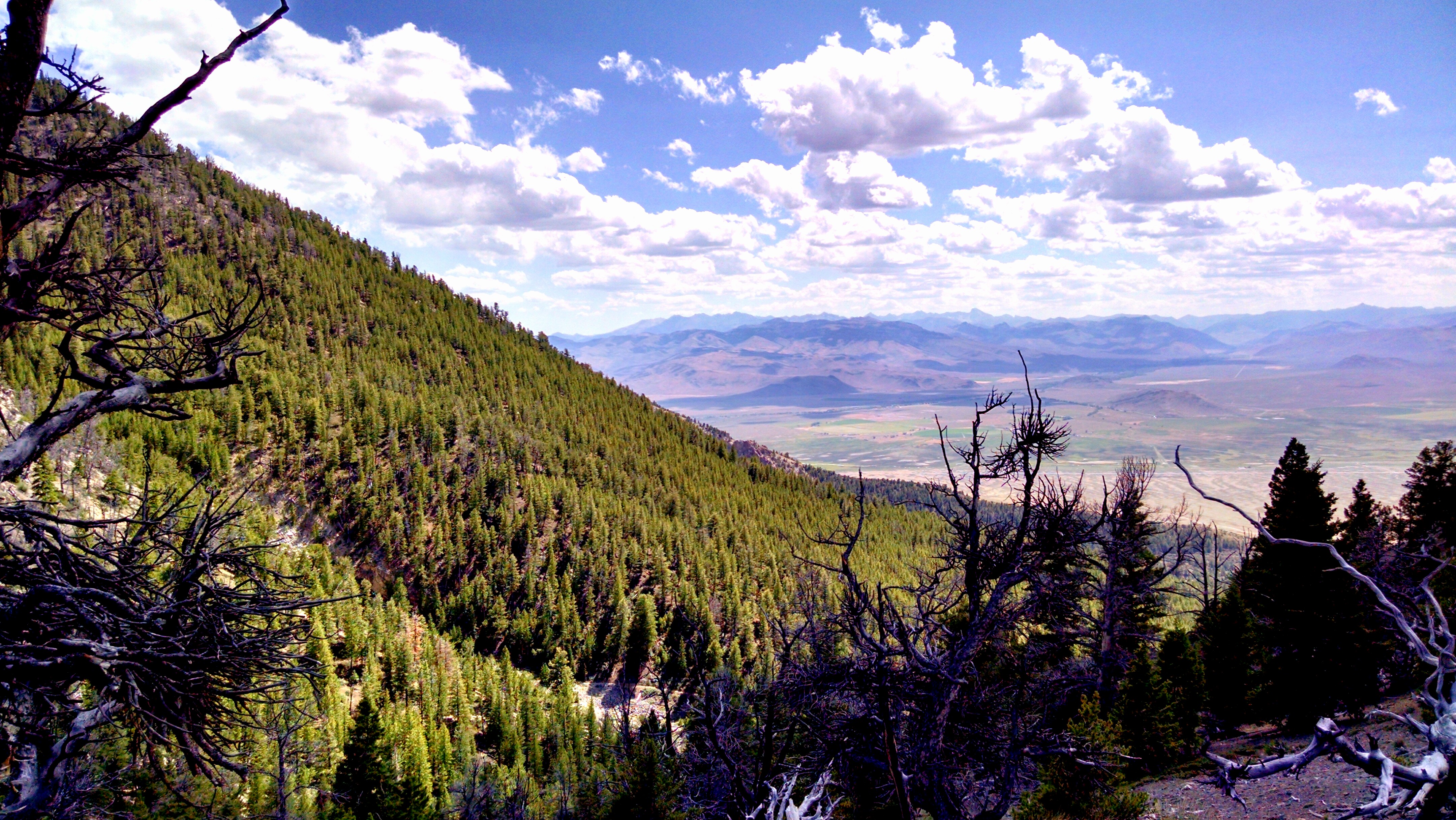 Climb Mount Borah