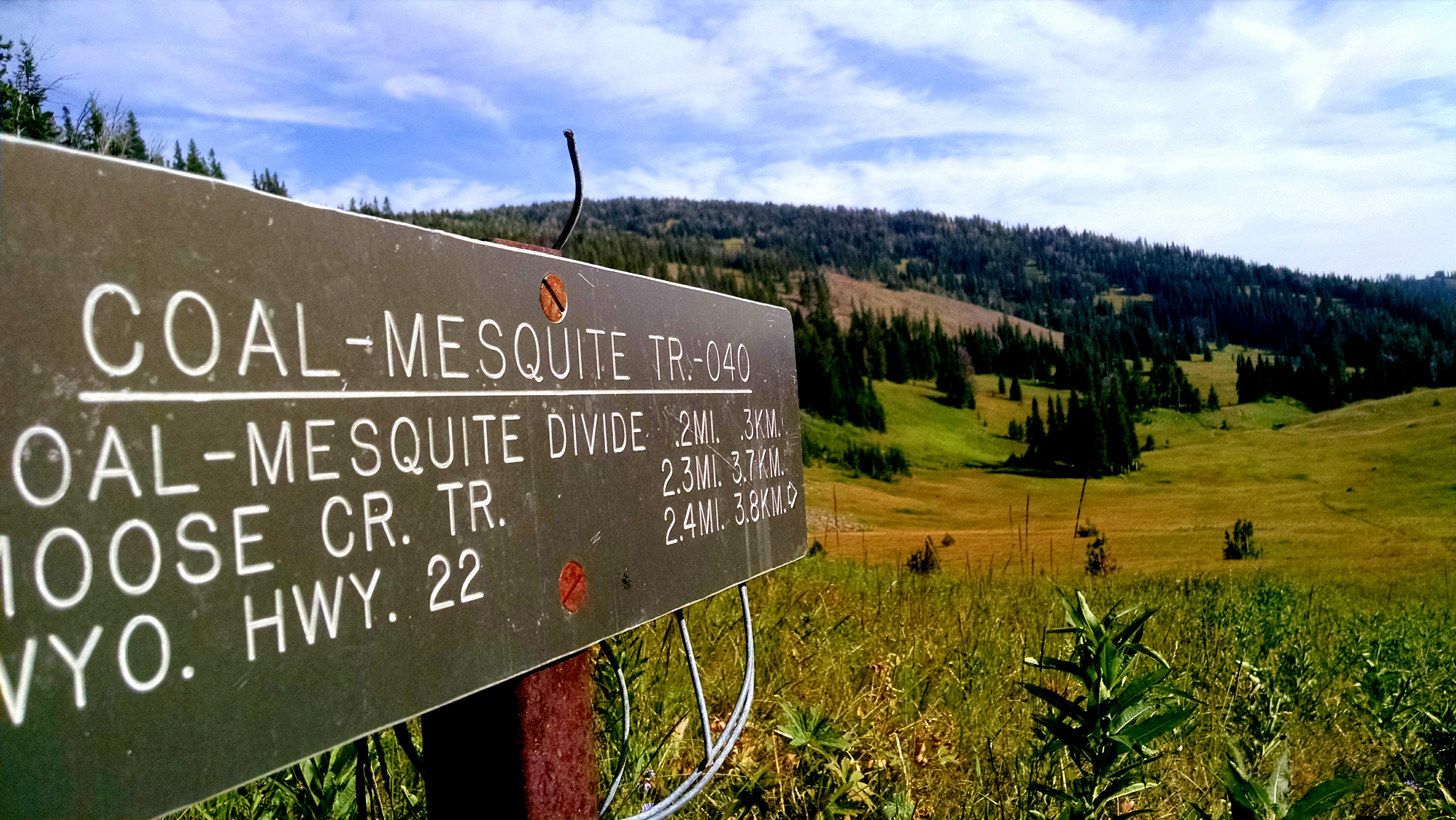 Hike Coal Creek Trail