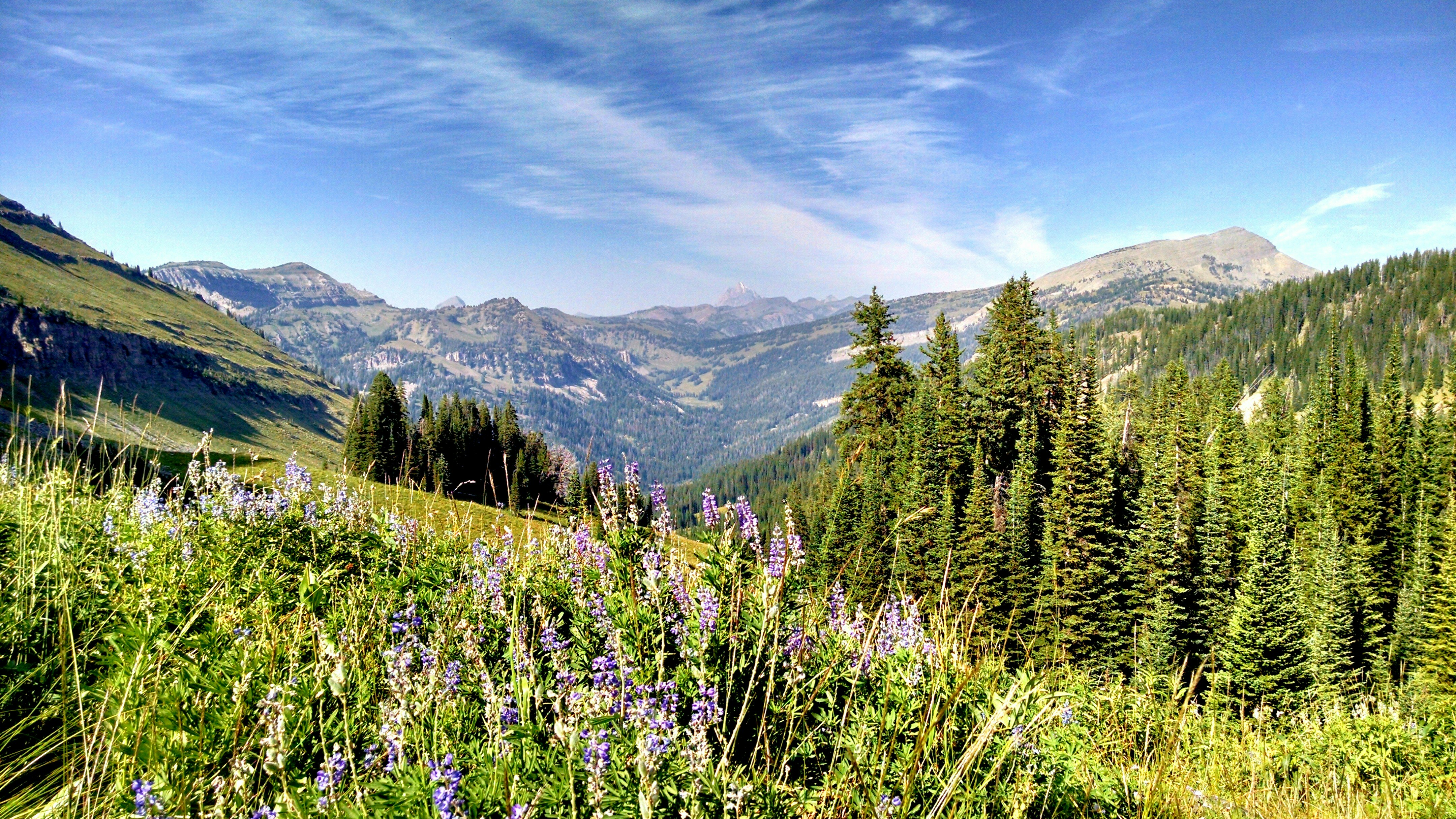 Hike Coal Creek Trail, Alta, Wyoming