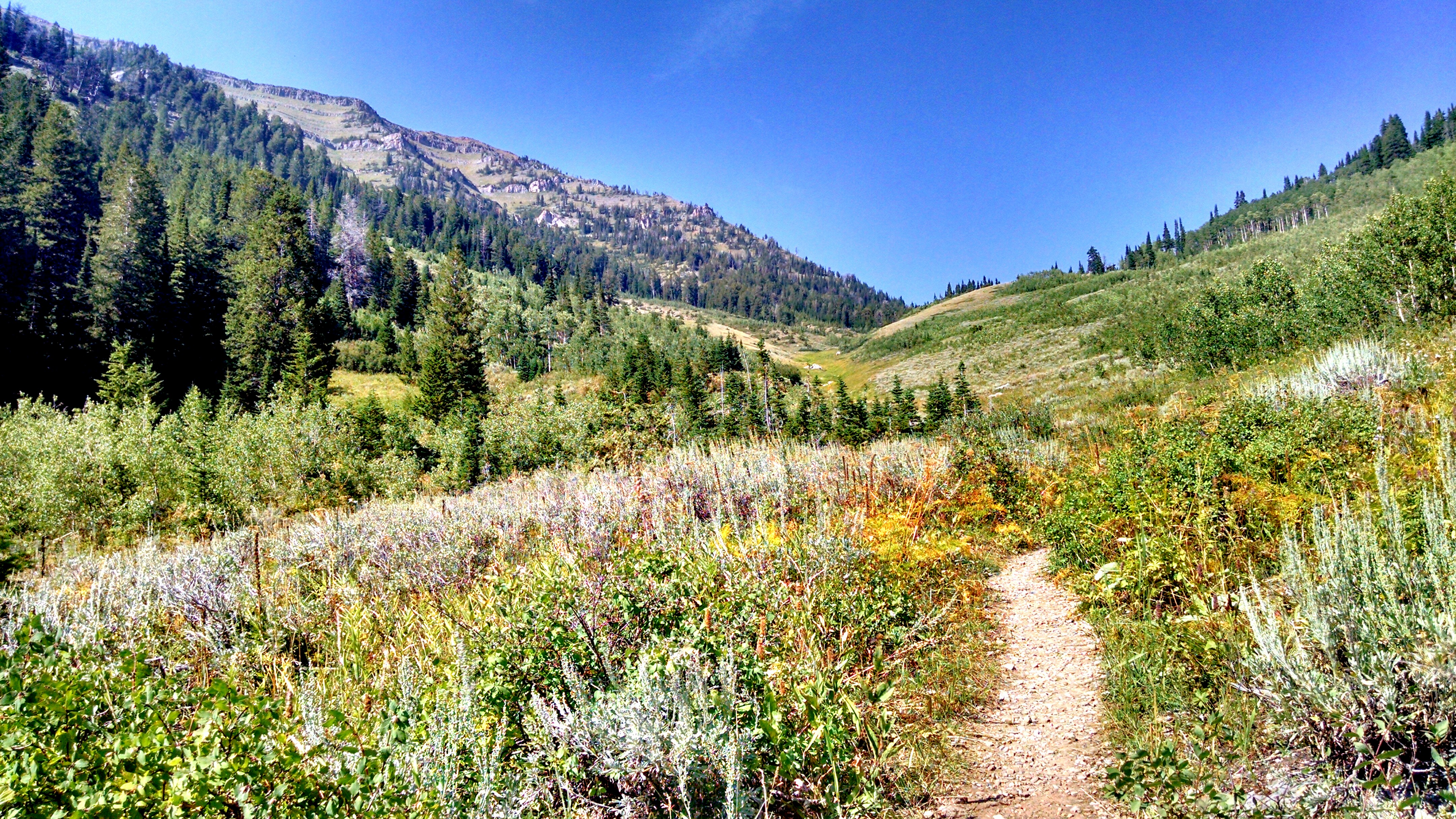 Hike Coal Creek Trail