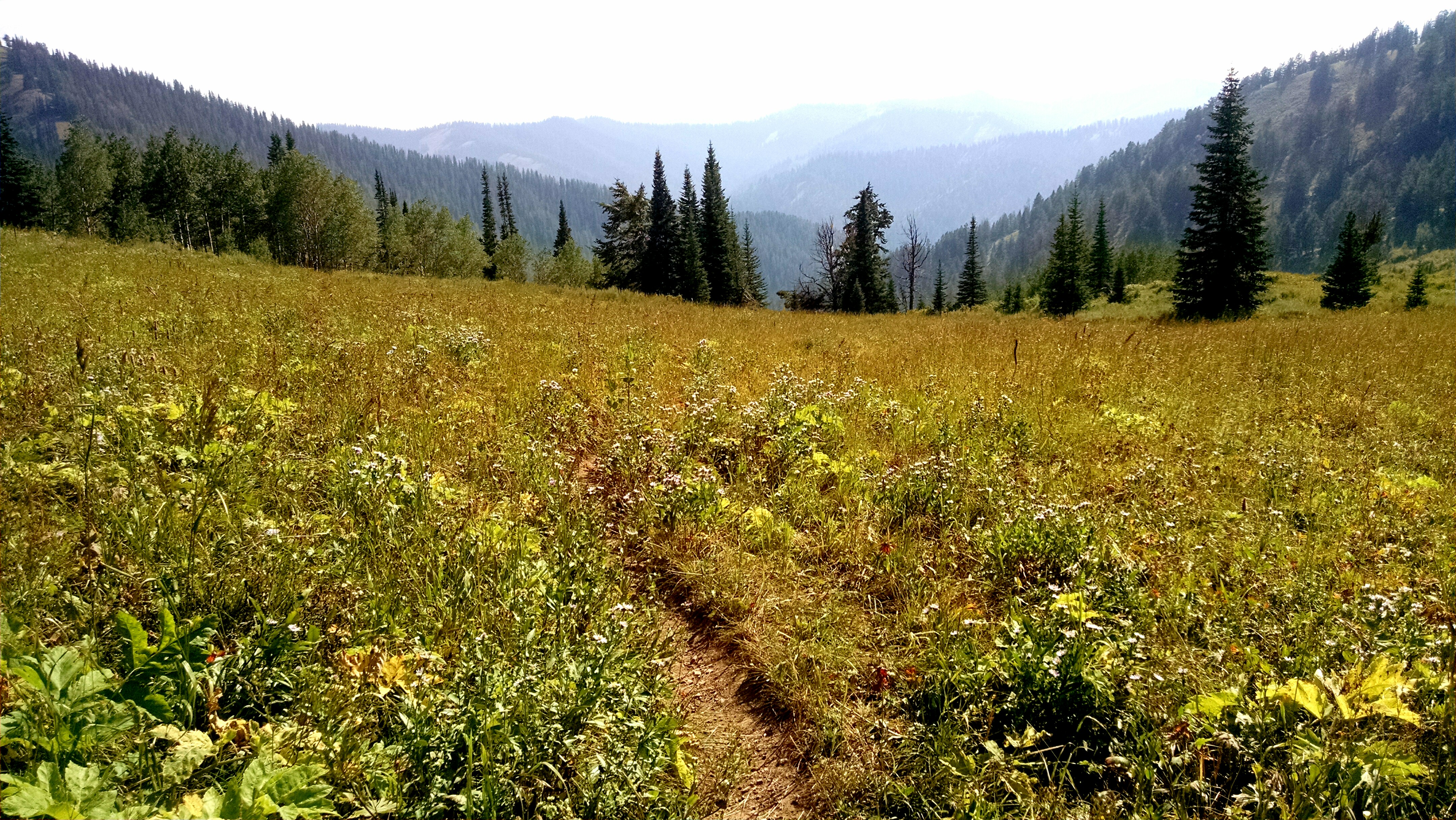 Hike Coal Creek Trail