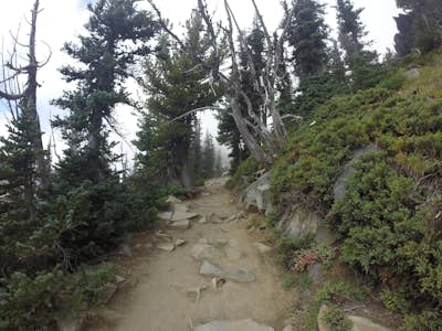 Burroughs Mountain Trail