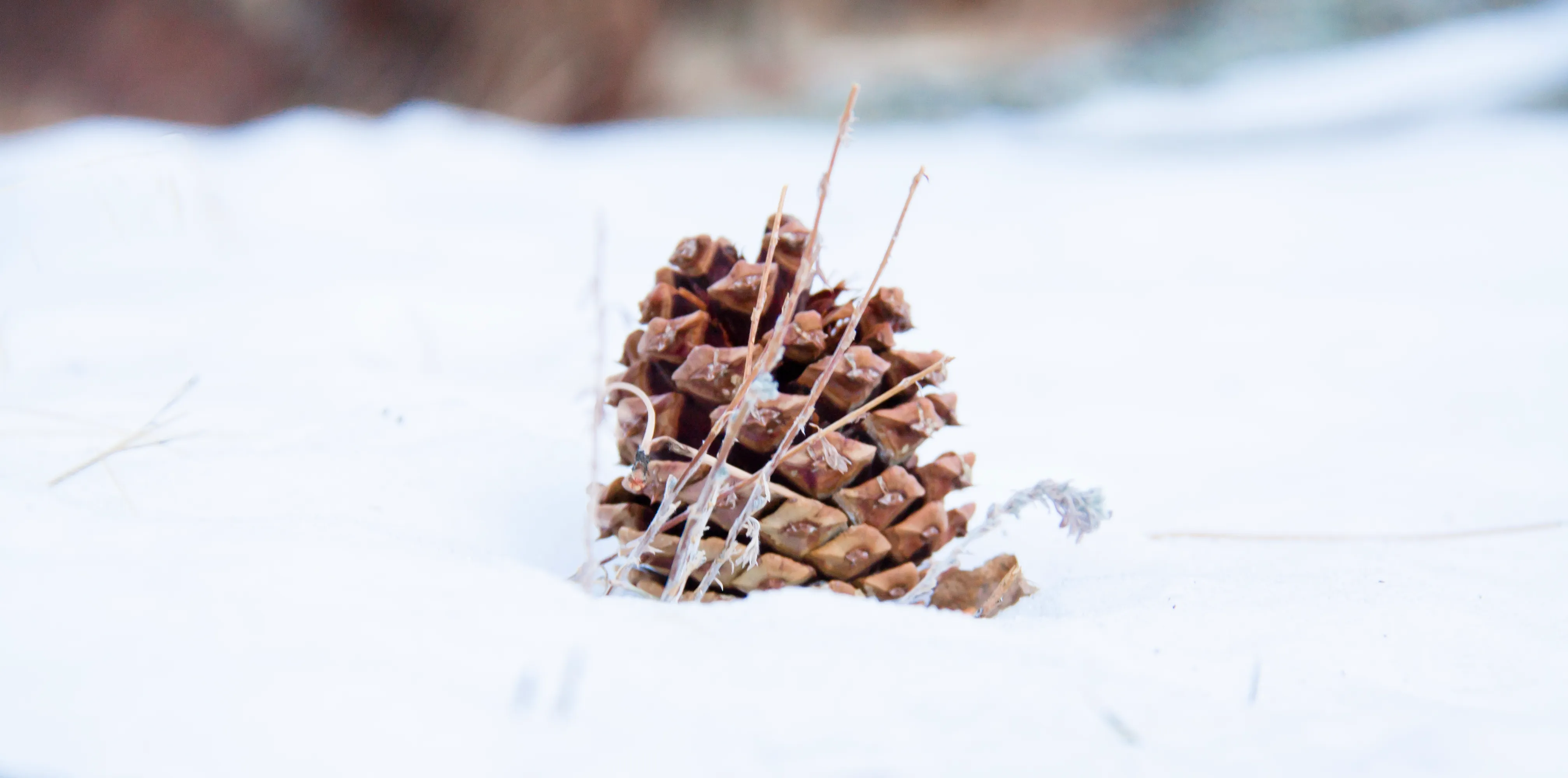 Winter Camp at Moraine Park