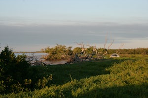 Camp at Clubhouse Beach