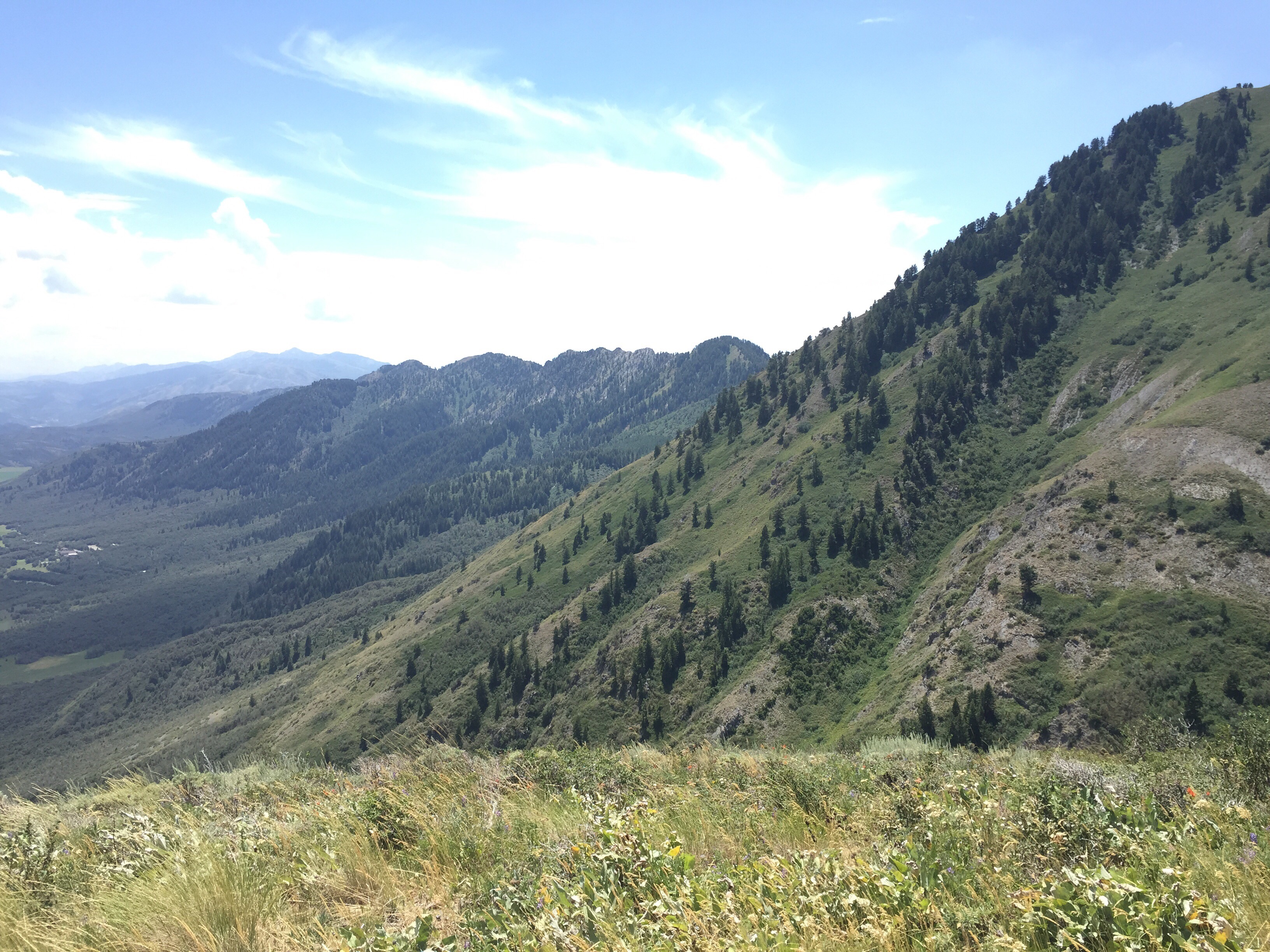Box Elder Peak