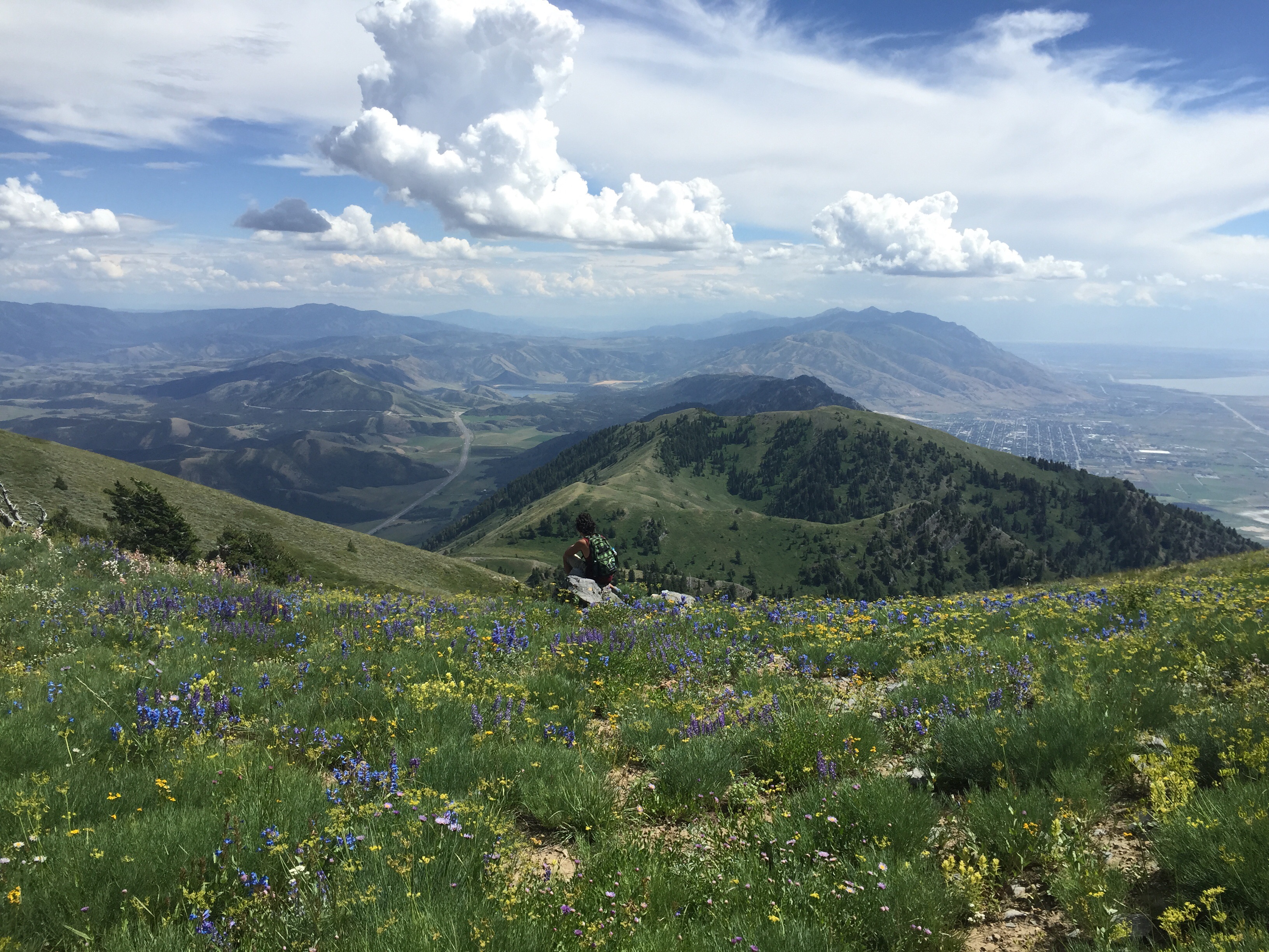 Box Elder Peak
