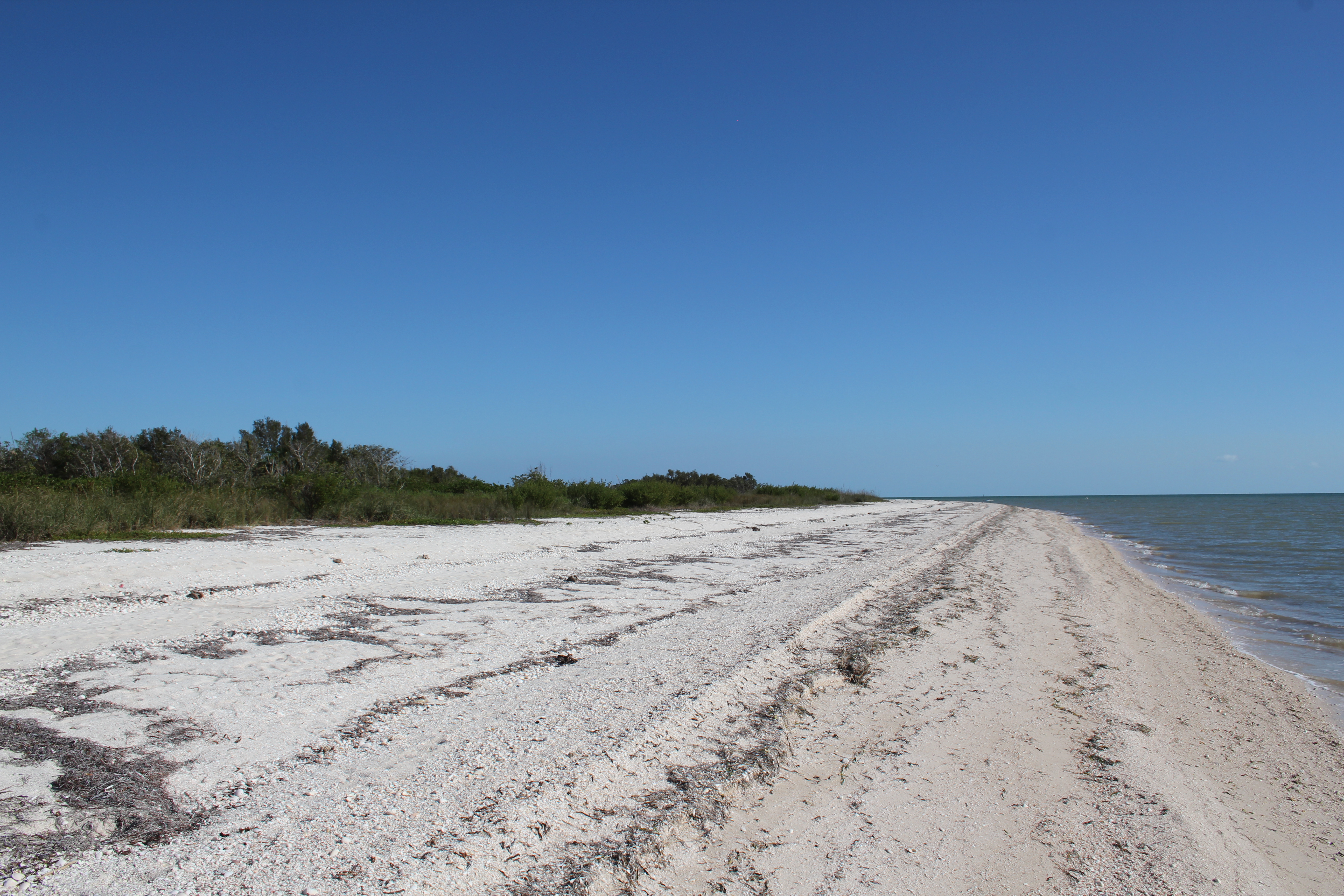 Kayak Camp on the East Cape, FL