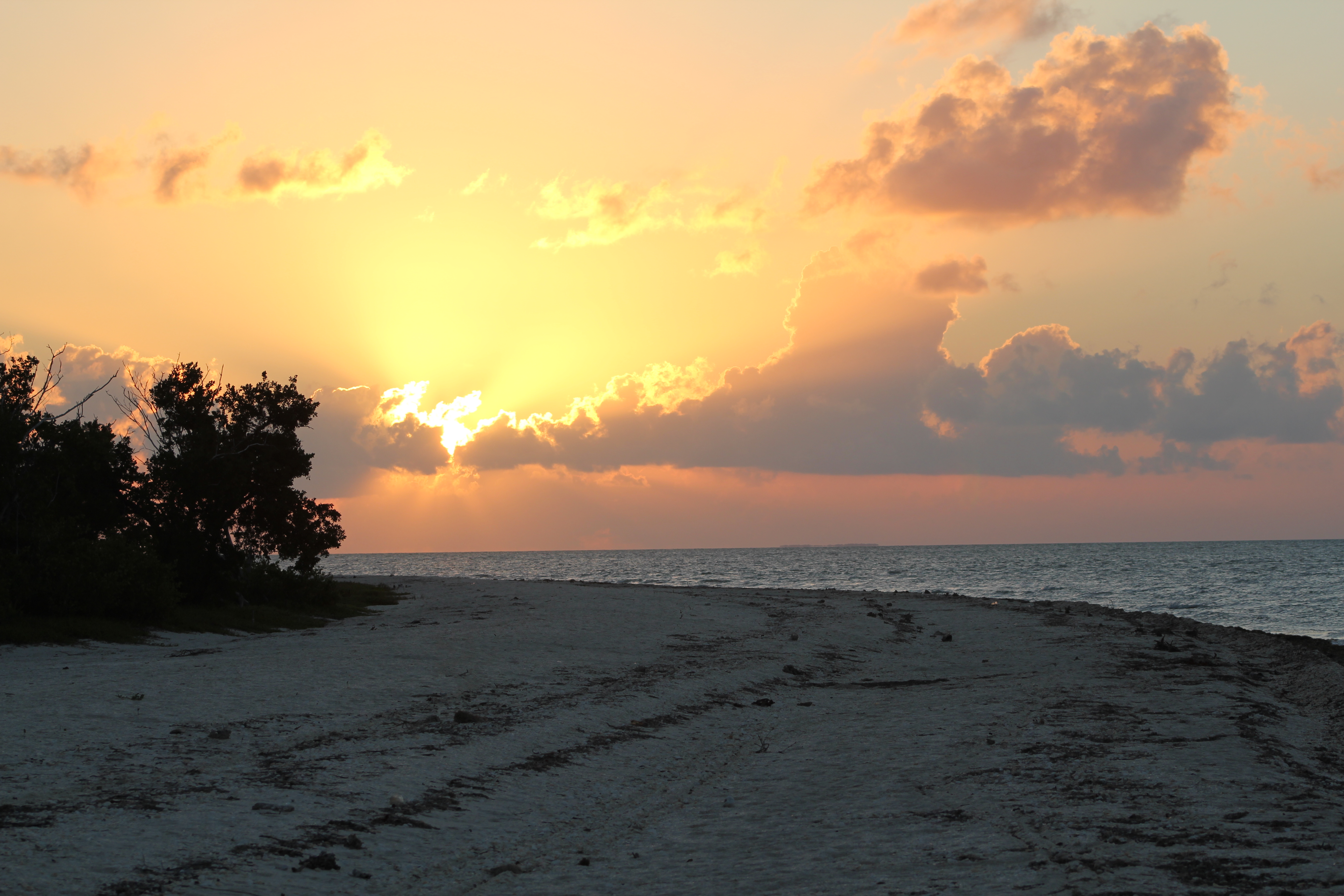Kayak Camp on the East Cape, FL