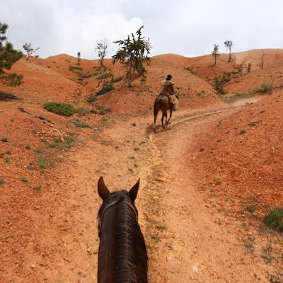 Bryce Canyon Horseback Trail Ride