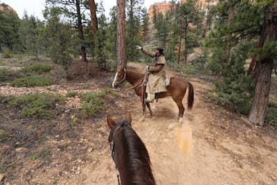 Bryce Canyon Horseback Trail Ride