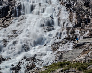 Hike to Bow Glacier Falls 