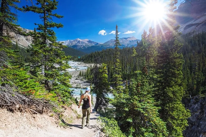 Hike to Bow Glacier Falls 