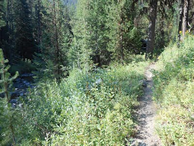 Day Hike Through History on the North Fork John Day River Trail
